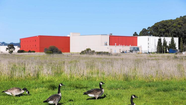 Richmond Field Station